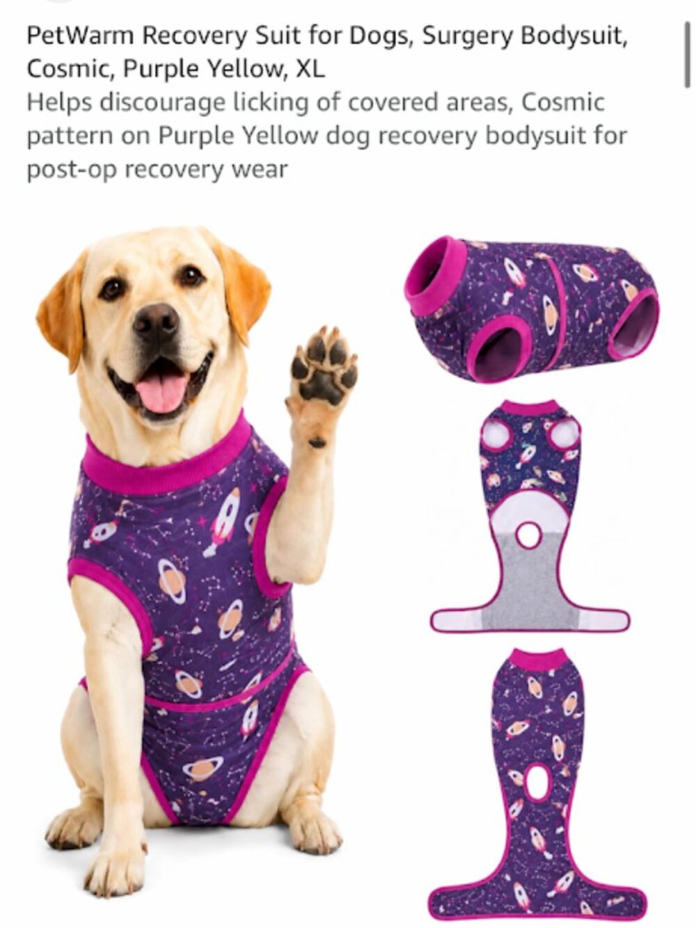 Dog surgery recovery suit